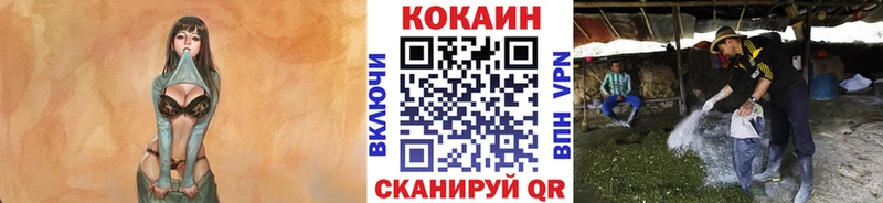 Cocaine Columbia  закладки  ссылка на мегу ТОР  Горячеводский 