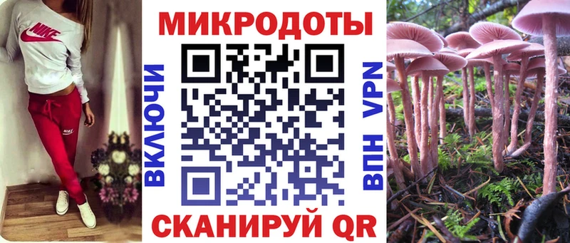 Псилоцибиновые грибы ЛСД наркота Горячеводский